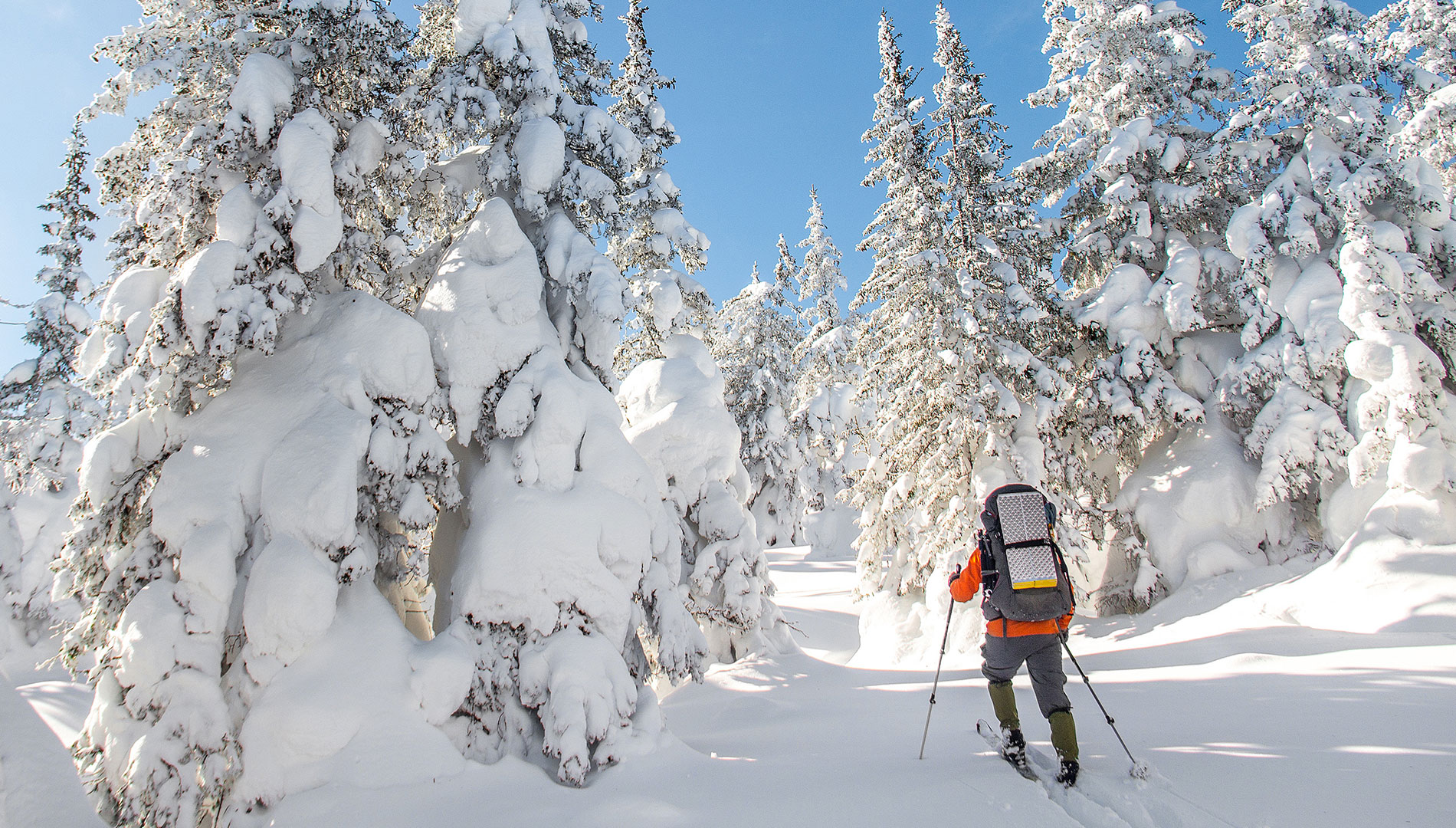 Skitouren Urlaub - Alpen Hotel Seimler Berchtesgaden