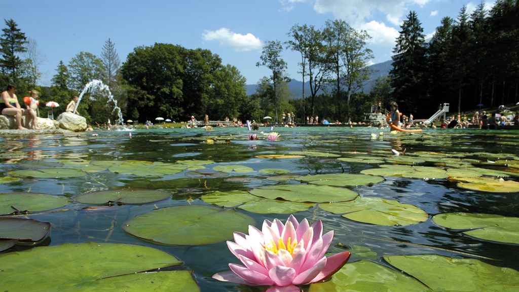 alpen hotel seimler berchtesgaden das naturbad aschauerweiher